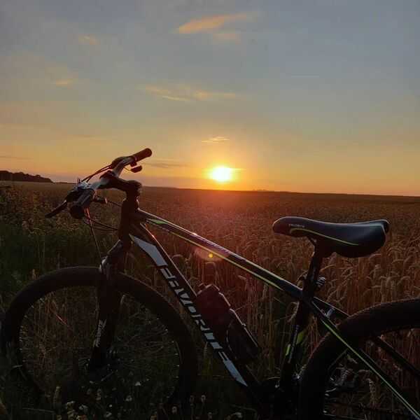 Drum liniștit prin natură la lumină blândă